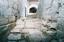 שרידים של רחוב מדורג מירושלים הרומית. התמונות באדיבות הקרן למורשת הכותל. צילום: סנדו ודינו מנדריאה
