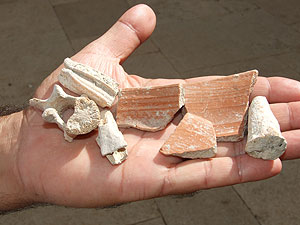 ממצאים הכוללים שברים של כלי שולחן עם שברי עצמות של בעלי חיים