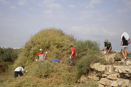 ניקוי האמה