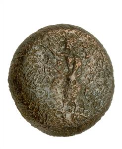 Coin ,Alexander I Balas (150-145 BCE),Ascalon
 Photographer:Clara Amit