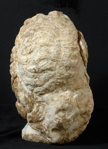 ראש פסל דמות חצי-אלוהית/אלוהית
 צלם:קלרה עמית