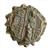 Coin ,Demetrius I (161-150 BCE),Ptolemais