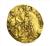 Coin ,Priuli, Laurenzo (1556-1559 A.D),Venice,Zecchino