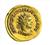 Coin ,Gallienus (253-268 A.D),Rome,Aureus